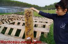 Rencontre de Guilaine et Antony Bascop, éleveurs et producteurs d'escargots de Bourgogne