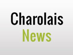 logo charolais news