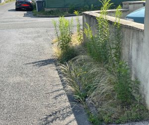 Villes, communauté urbaine, département… qui est responsable de quoi ?
