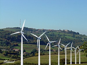 Parc éolien sur les communes de Marigny et St Micaud (Environnement)