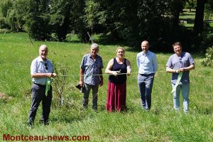 Michelin Blanzy : 18 arbres plantés au parc des Mirauds