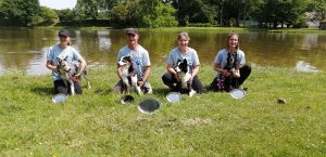 Club canin Educ Agility Passion Sanvignes