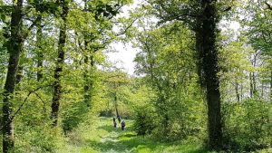 Pouilloux : 2eme édition de la marche de la rentrée