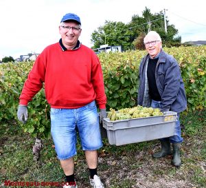 Sanvignes : Association La Vigne