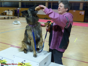 Sanvignes : Dog Dancing