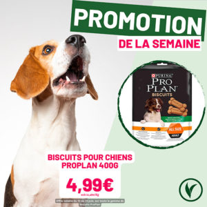 Villaverde (Montceau – Gourdon)