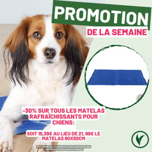 Villaverde (Montceau – Gourdon)