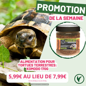 Villaverde (Montceau – Gourdon)