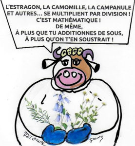 La pensée de la Joyeuse du lundi