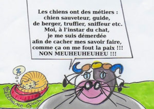 La pensée de la Joyeuse du lundi