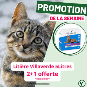 Villaverde (Montceau – Gourdon)