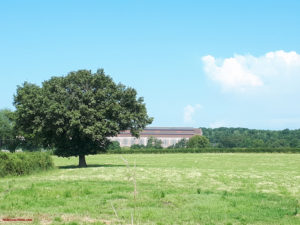 Saint-Laurent d’Andenay : partez à la découverte de ses bocages