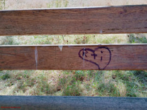 Non le monde n’est pas foutu ou complètement fou