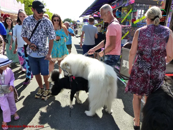 inau-fete-foraine-26082424