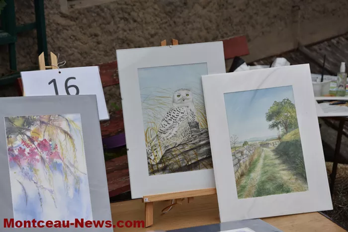 peintre-mt-st-vincent-09092434