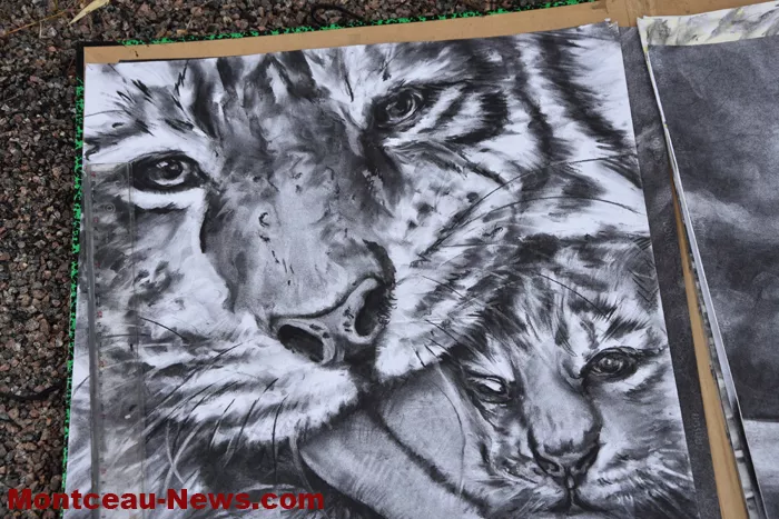 peintre-mt-st-vincent-09092441