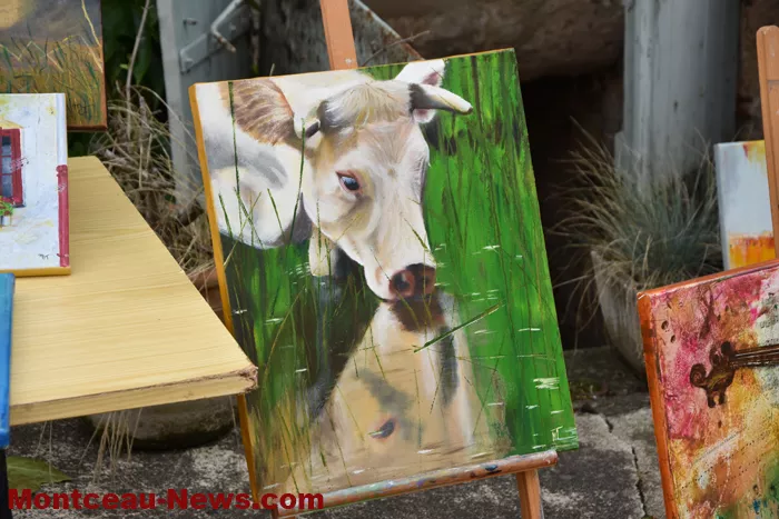 peintre-mt-st-vincent-09092464