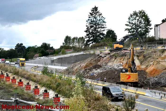 rcea-circulation-06092410