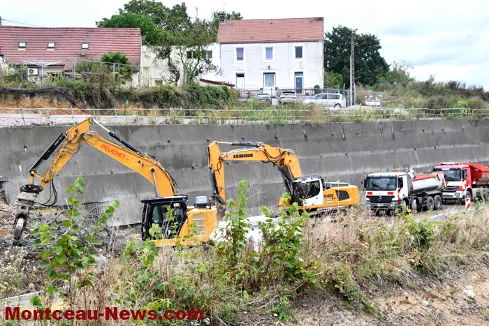 rcea-circulation-0609244