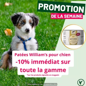 Villaverde (Montceau – Gourdon)