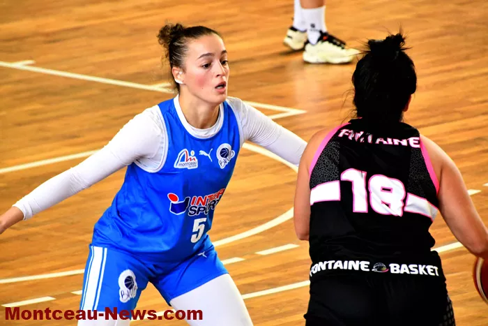basket-08102410
