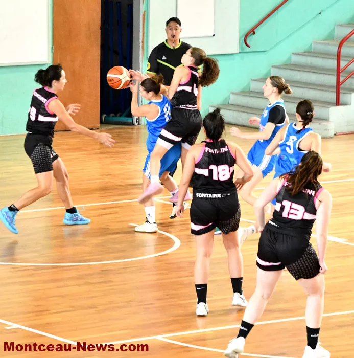 basket-08102415