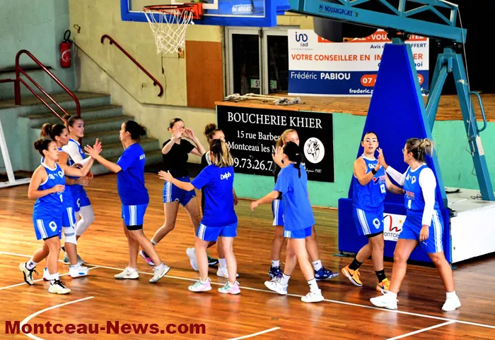 basket-0810242