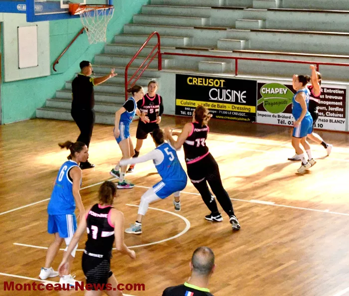 basket-0810245