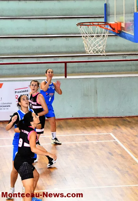 basket-0810247