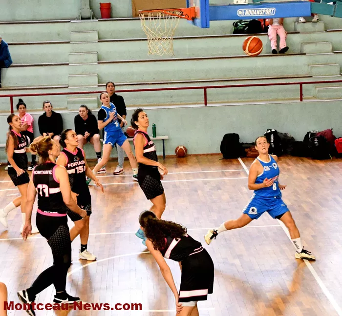 mont-basket-06102410