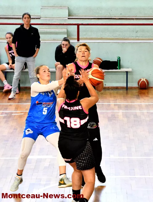 mont-basket-06102415