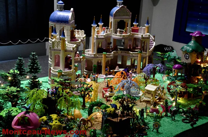 expo-playmobil-201124161024