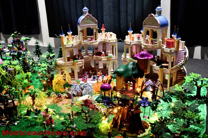 expo-playmobil-201124161034