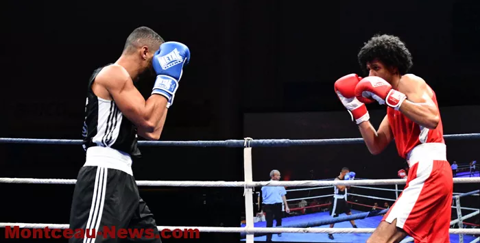 fight-101124161041