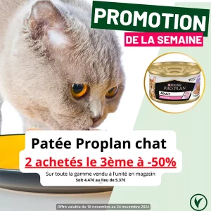 Villaverde (Montceau – Gourdon)