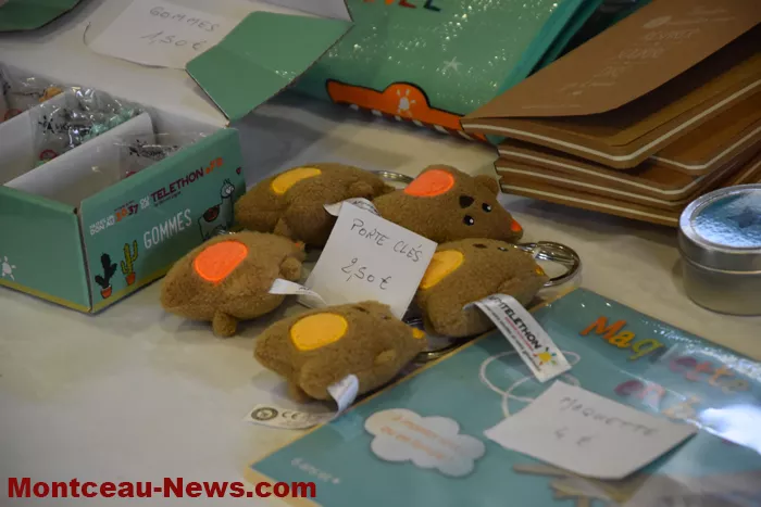 bizots-telethon-011224161032