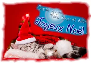 « Joyeux Noël »