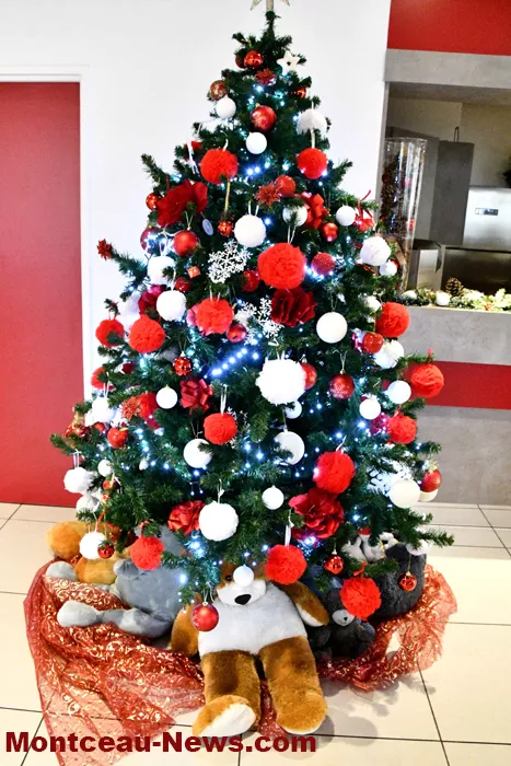 malot-181224161024