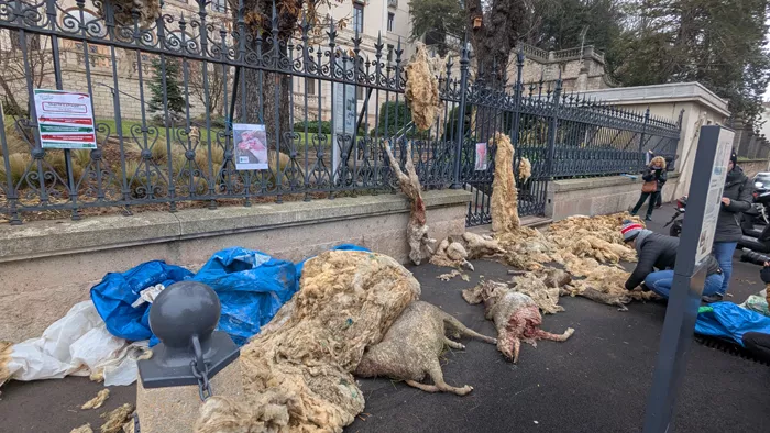 manif-loup-121224161025