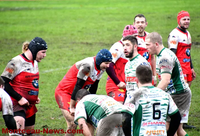 rugby-081224161043
