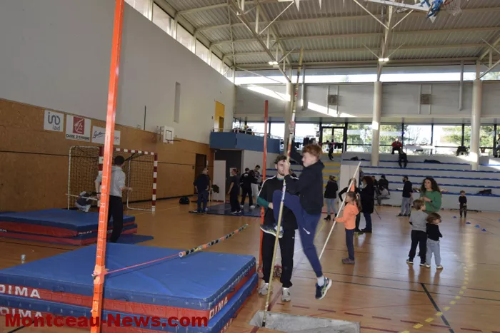 sport-telethon-011224161033