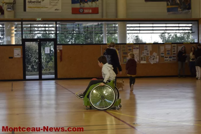sport-telethon-011224161056
