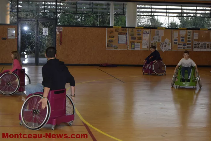 sport-telethon-011224161061