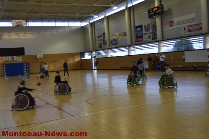 sport-telethon-011224161064