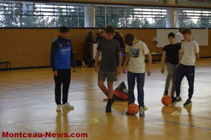 sport-telethon-011224161069