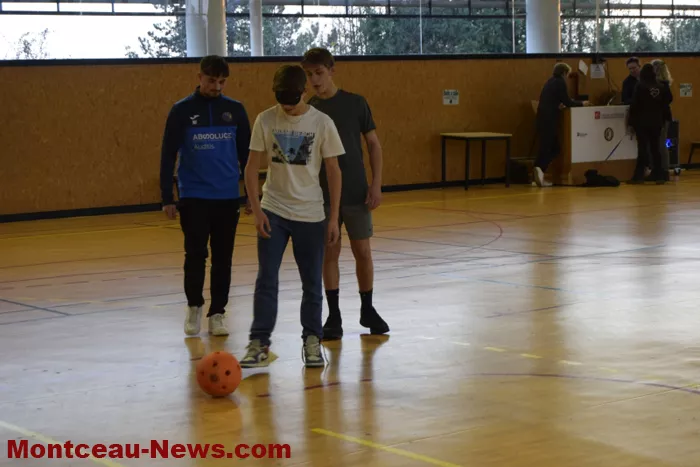sport-telethon-011224161071