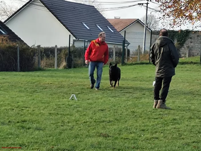 telethon-pouilloux-011224161033