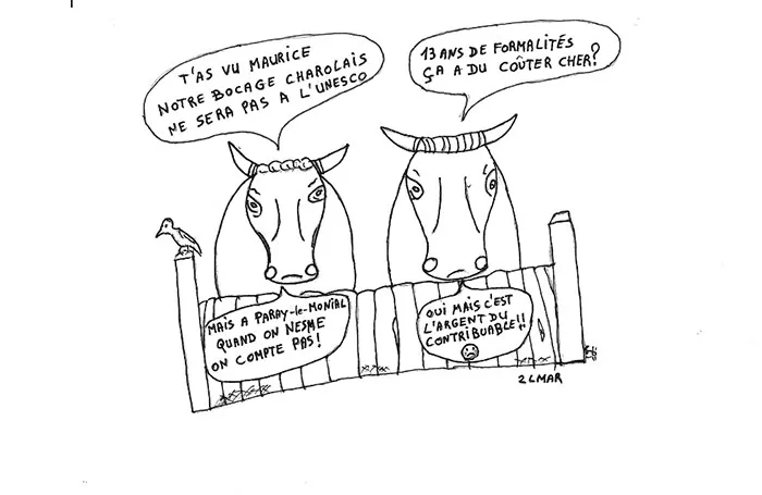 vache-humour-131224