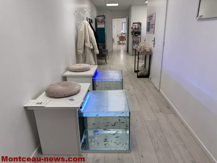 victoria-161224161026