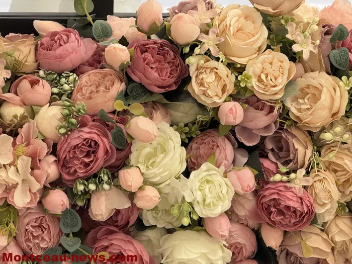 victoria-161224161041